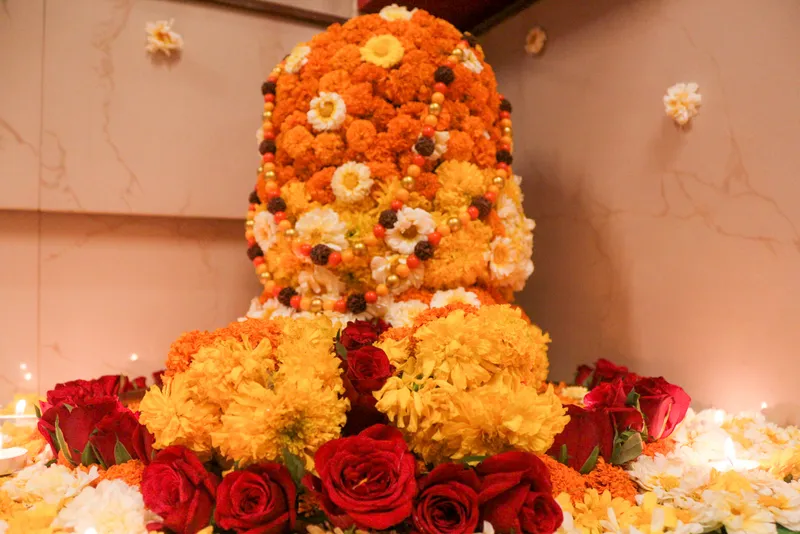Mahashivratri · 2017