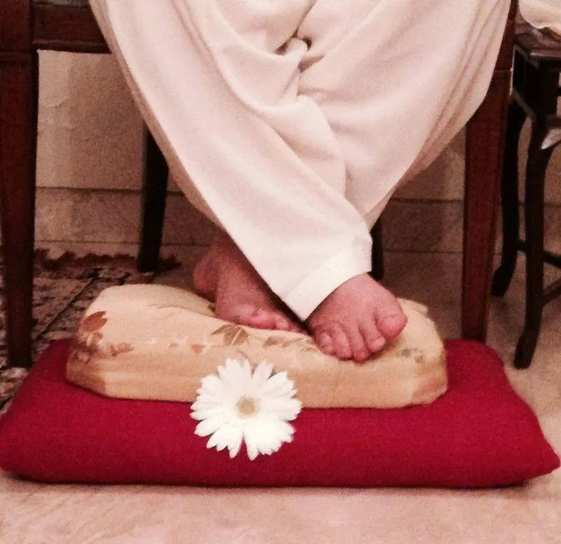 Guru Purnima · 2014