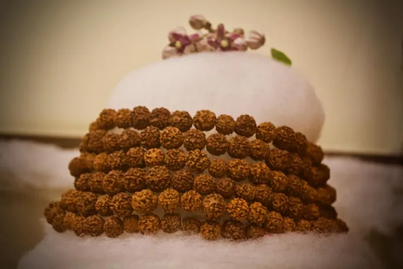 Mahashivratri · 2018