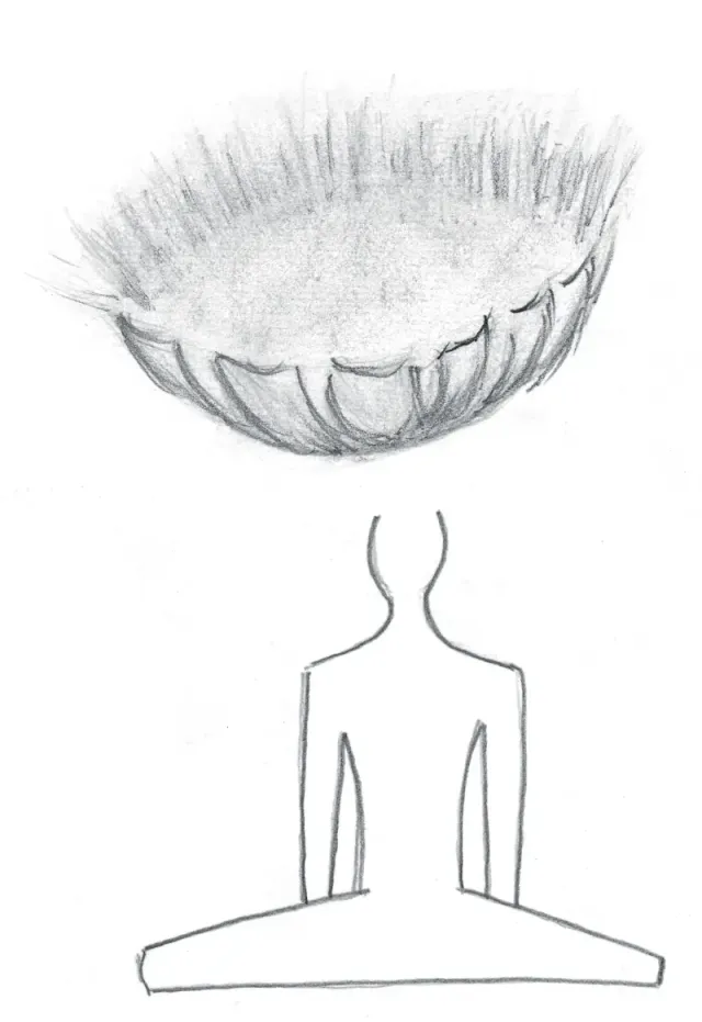 A dish-shaped lotus bowl hovering above a seated meditator — the crown receiving